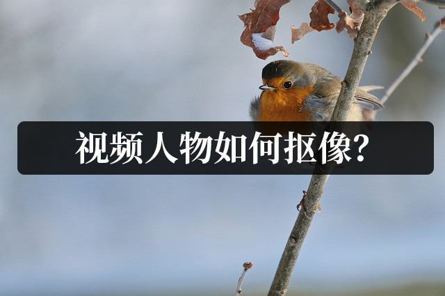 抠像视频怎么制作(抠像视频怎么制作的)